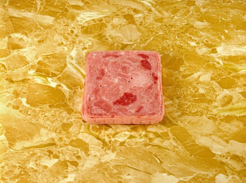 Nice to meat you 🍖

In her series “Food Still Lifes,” Sandy Skoglund depicts, among other things, a square chunk of pin…